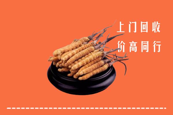 延边回收冬虫夏草