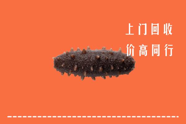 延边高价回收海参